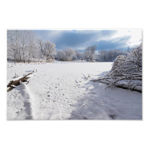Foto paisaje invernal a lo largo de la laguna y bosques