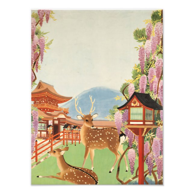 Foto Paisaje JAPONÉS | ciervo sagrado de Nara | templo (Frente)