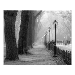 Foto Paisaje negro y blanco en Central Park