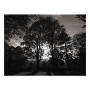 Foto Paisaje otoñal Bute Park Cardiff