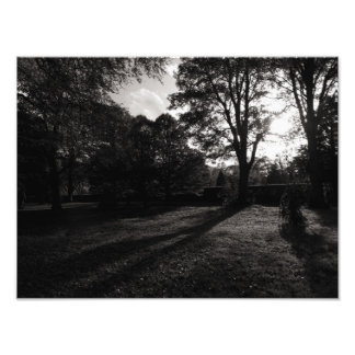 Foto Paisaje otoñal Bute Park Cardiff