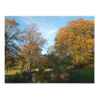 Foto Paisaje otoñal, Parque Bute, Cardiff