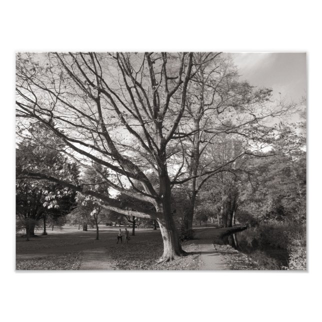 Foto Paisaje otoñal, Parque Bute, Cardiff (Frente)