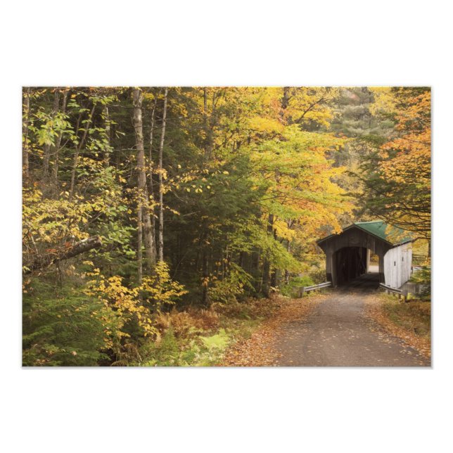 Foto Paisaje otoñal, Vermont, Estados Unidos (Frente)