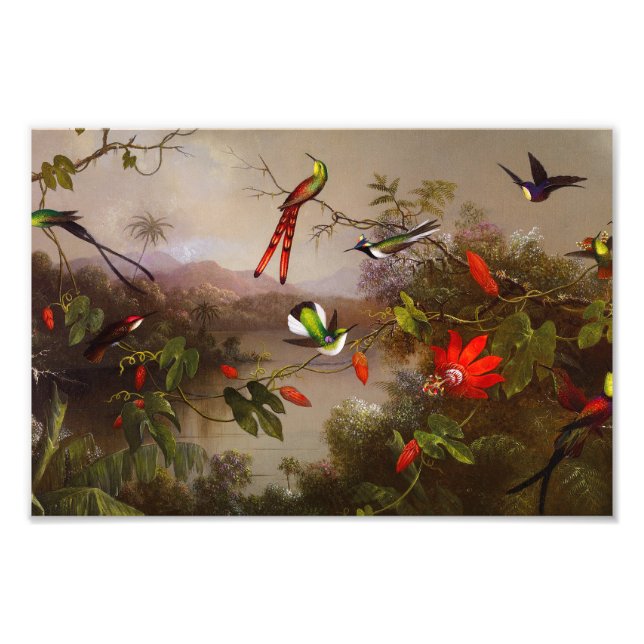 Foto Paisaje tropical con 10 Hummingbirds Heade (Frente)