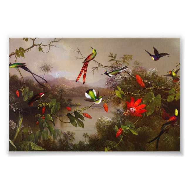 Foto Paisaje tropical con 10 Hummingbirds Heade (Frente)