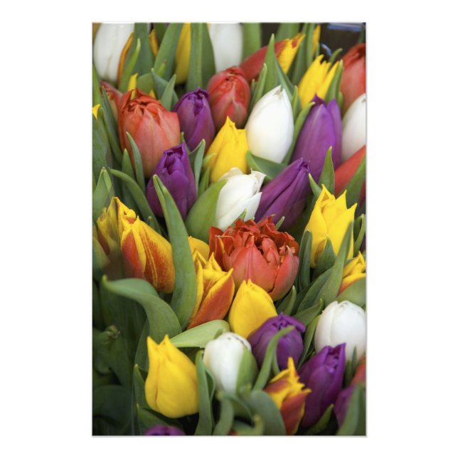 Foto Países Bajos, Holanda del Sur, Amsterdam (Frente)