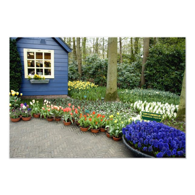 Foto Países Bajos (Holanda), Lisse. Keukenhof 11 (Frente)