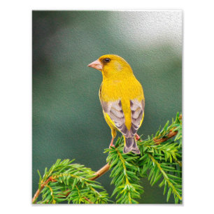 Foto Pájaro amarillo en rama