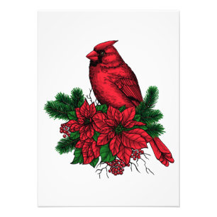 Foto Pájaro cardinal, ilustracion Navidad