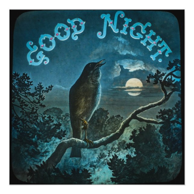 Foto Pájaro de buena noche en una sucursal de la época  (Frente)