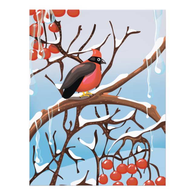 Foto pájaro de invierno (Frente)