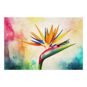 Foto *~* Pájaro de pintura de arte paraíso AP10 #21