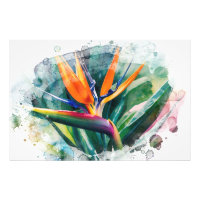 *~* Pájaro del paraíso de arte AP10 #2