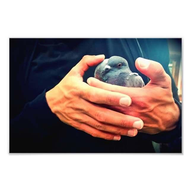 Foto Pájaro herido (Frente)