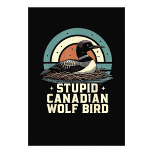 Foto Pájaro Lobo Canadiense Estúpido