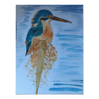 Foto Pájaro Martín Pescador