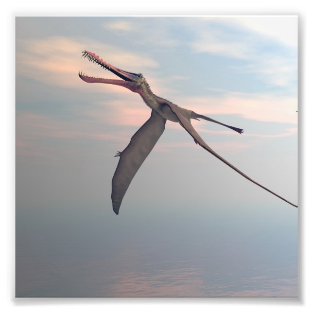 Foto Pájaro prehistórico de Anhanguera (Frente)