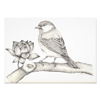 Foto Pájaro y flor