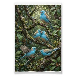 Foto Pájaros Azules En Árboles Del Bosque Lujurioso Bot
