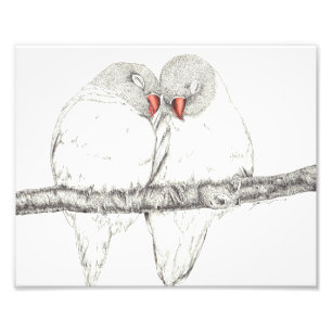 Foto Pájaros del amor