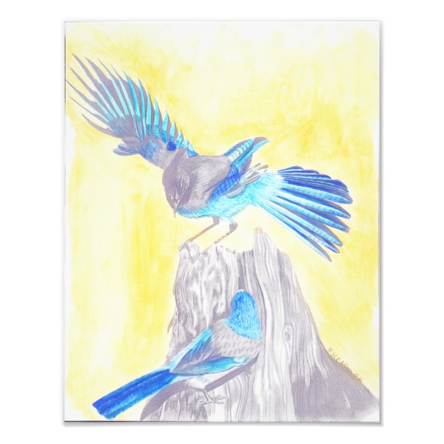 Foto Pájaros en un trozo (Frente)