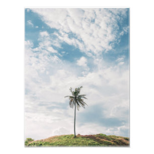 Foto Palm solitaria bajo cielo azul Tropical minimali