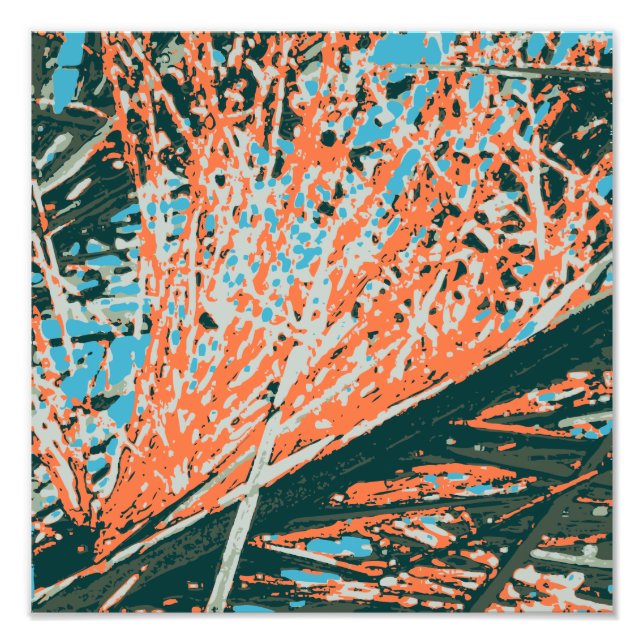 Foto Palm Springs 6 Color Palm Berries 6C (Frente)