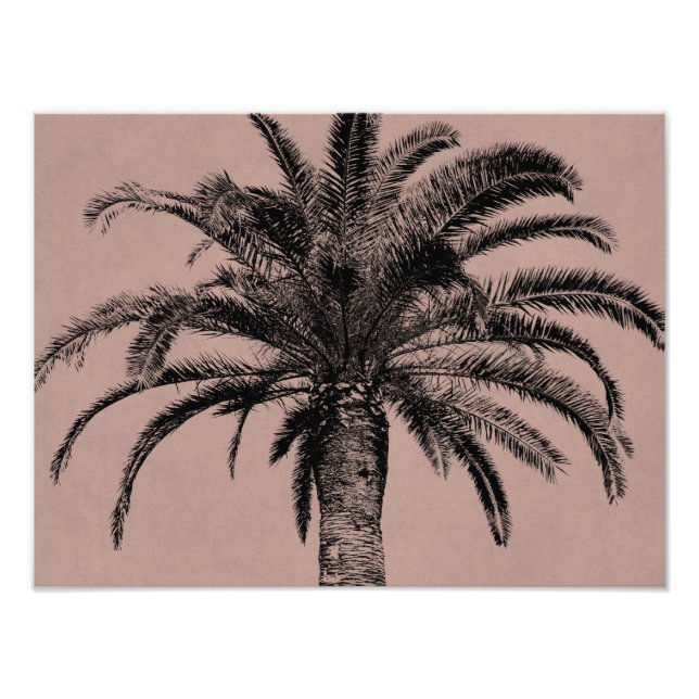 Foto Palm Tree retro hawaiano - plantilla de palmas de  (Frente)