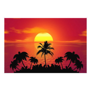 Foto Palm Trees Silhouette-16514