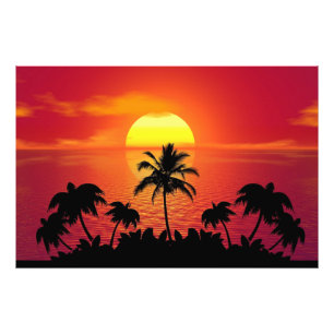 Foto Palm Trees Silhouette-16515