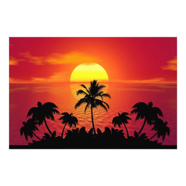 Foto Palm Trees Silhouette-16515 (Frente)