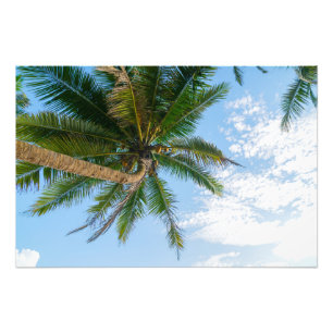 Foto Palmera de coco tropical bajo cielo azul