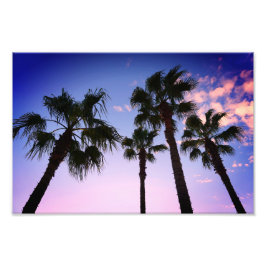 Foto Palmeras balanceándose a Navidades en Destin Flori