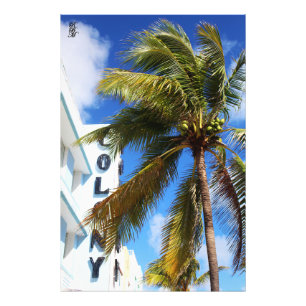 Foto Palmeras en Miami Beach