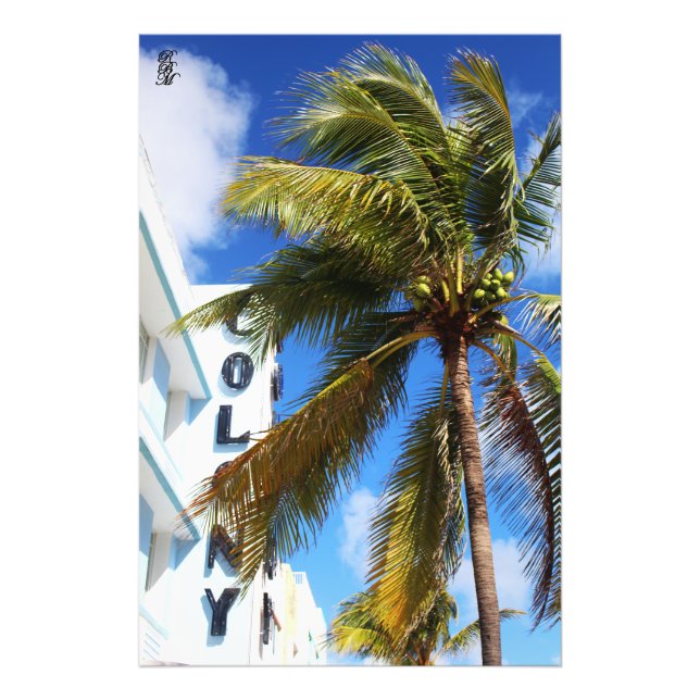 Foto Palmeras en Miami Beach (Frente)