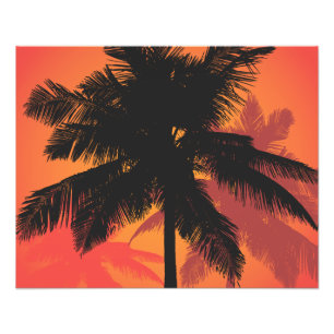 Foto Palmeras Puesta de Sol Siluetas