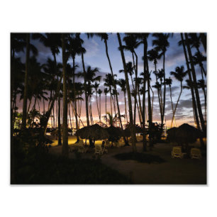 Foto Palmeras y puesta de sol de impresión