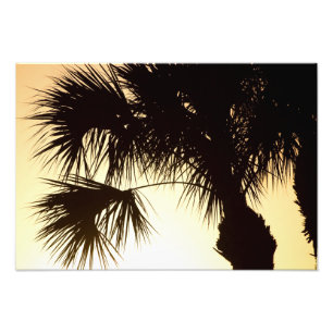 Foto Palmetto Sunrise, Florida