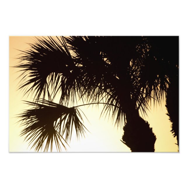 Foto Palmetto Sunrise, Florida (Frente)