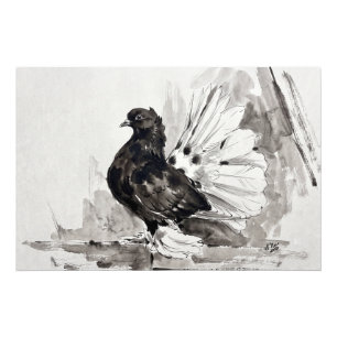 Foto Paloma Indian Fantail Eyeliner Gallina