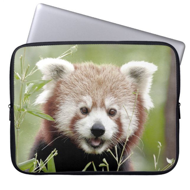 Foto panda , animales fundas de laptops. (Frente)