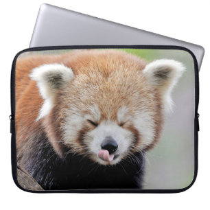Foto panda , animales fundas de laptops.