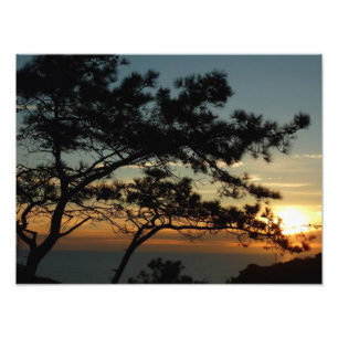 Foto Panorama de Torrey Pine Sunset