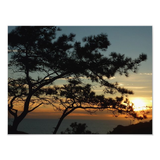 Foto Panorama de Torrey Pine Sunset (Frente)