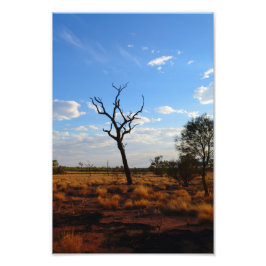 Foto Panorama exterior