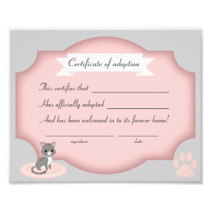 Foto papel de la certificación del fiesta de la