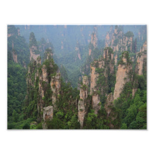 Foto Papel fotográfico del Parque Forestal Nacional de 