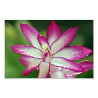 Foto Papel fotográfico profesional de Kodak de 7" x 5"