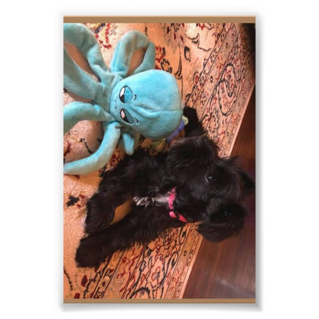 Foto Papel fotográfico profesional de Kodak (Satin) (Frente)